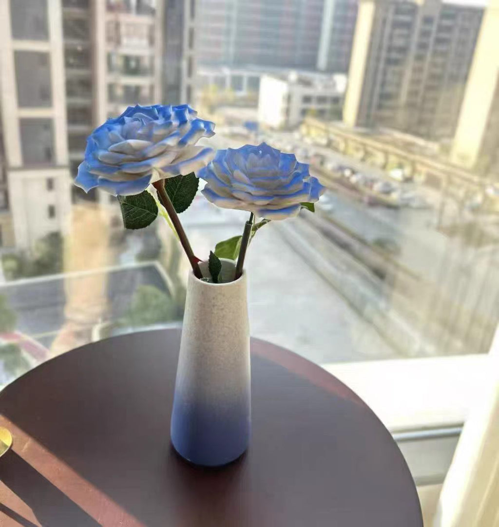 Jingdezhen Ceramic Cosmos & Rose Bouquet — Gradient Matte Cone & Round Belly Vase Collection